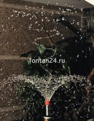 Hibiscus 1 1/2" Hibiscus 1 1/2"